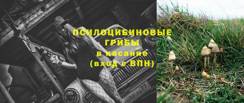 Галлюциногенные грибы MAGIC MUSHROOMS  даркнет наркотические препараты  Омск 